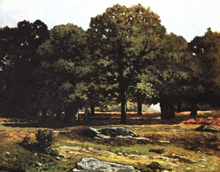 Viale di castagni a La Celle-Saint-Cloud